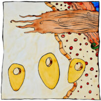 Rhizome - Philippe Seguin