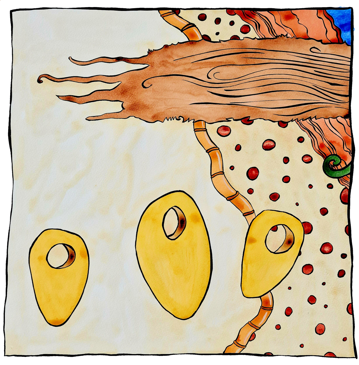 Rhizome - Philippe Seguin