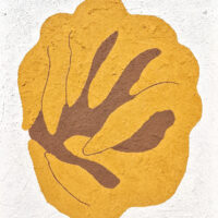 Citron main de Bouddha - Philippe Seguin