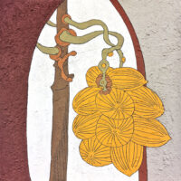 Syagrus - Philippe Seguin